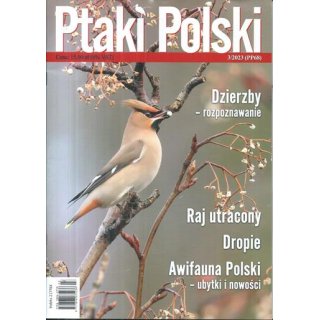 Ptaki Polski 3/2023
